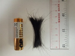 Amount of hair required in hair mineral test example 1